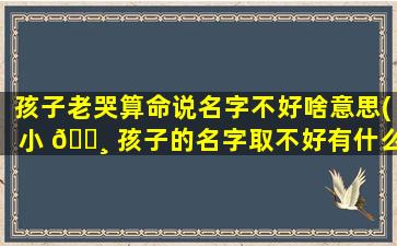 孩子老哭算命说名字不好啥意思(小 🌸 孩子的名字取不好有什么影响)